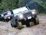 Whipsaw June 2013 023