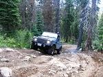 Whipsaw June 2013 029