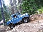 Whipsaw June 2013 031