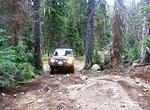 Whipsaw June 2013 035