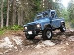 Whipsaw June 2013 039