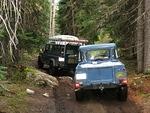Whipsaw June 2013 040