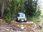 Whipsaw June 2013 041