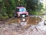 Whipsaw June 2013 042