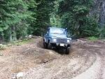 Whipsaw June 2013 057
