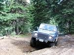 Whipsaw June 2013 058