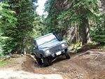 Whipsaw June 2013 059