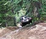 Whipsaw June 2013 060