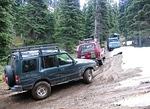 Whipsaw June 2013 065