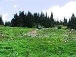 Whipsaw June 2013 066