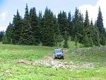 Whipsaw June 2013 067