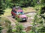 Whipsaw June 2013 068