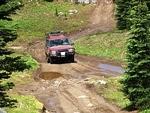 Whipsaw June 2013 069