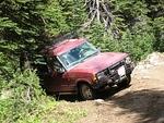 Whipsaw June 2013 070