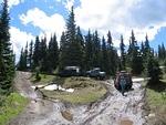 Whipsaw June 2013 071