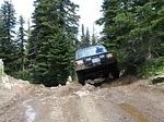 Whipsaw June 2013 072