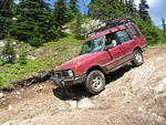 Whipsaw June 2013 078