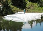 Whipsaw June 2013 080