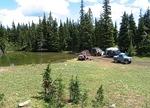 Whipsaw June 2013 083