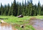 Whipsaw June 2013 088