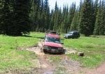 Whipsaw June 2013 089