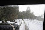 DSC_9264.JPG