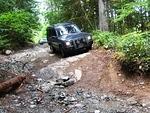 Fossil Beach - North Chehalis May 2013 024