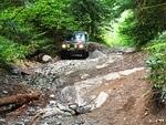 Fossil Beach - North Chehalis May 2013 029