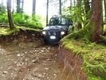 Fossil Beach - North Chehalis May 2013 048