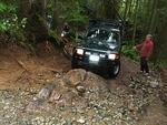 Fossil Beach - North Chehalis May 2013 092