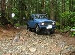 Fossil Beach - North Chehalis May 2013 093