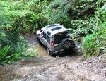 Rally in the Valley -Van Island June 2013 010