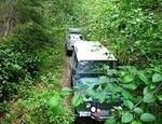 Rally in the Valley -Van Island June 2013 098