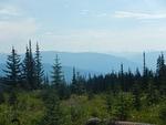 Jeep Trail August 2013