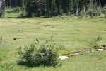 Jeep Trail August 2013 0027