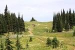 Jeep Trail August 2013 0032