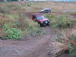IMG_0518.jpg