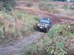 IMG_0525.jpg