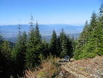 Church Mountain Run - Oct 2013 037