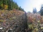 Church Mountain Run - Oct 2013 039