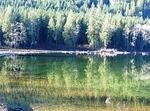 South Chehalis - Jan 2014 102