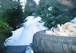 South Chehalis - Jan 2014 159