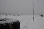 DSC_1723.JPG