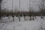 DSC_1798.JPG