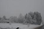 DSC_1827.JPG
