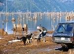 East Stave Lake - Mar 2014 064