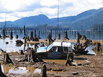East Stave Lake - Mar 2014 091