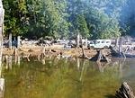 East Stave Lake - Mar 2014 100