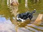 East Stave Lake - Mar 2014 103