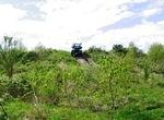 Richmond Off-Road Play Day and BBQ 2014 017